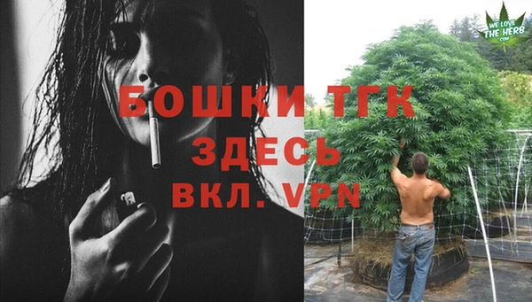 СК Алексеевка