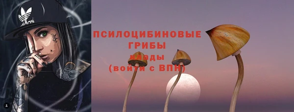 СК Алексеевка