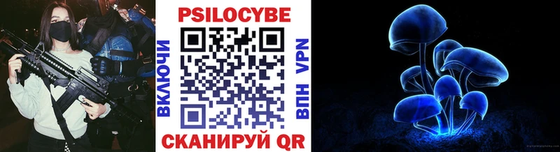 Псилоцибиновые грибы Cubensis Гусь-Хрустальный